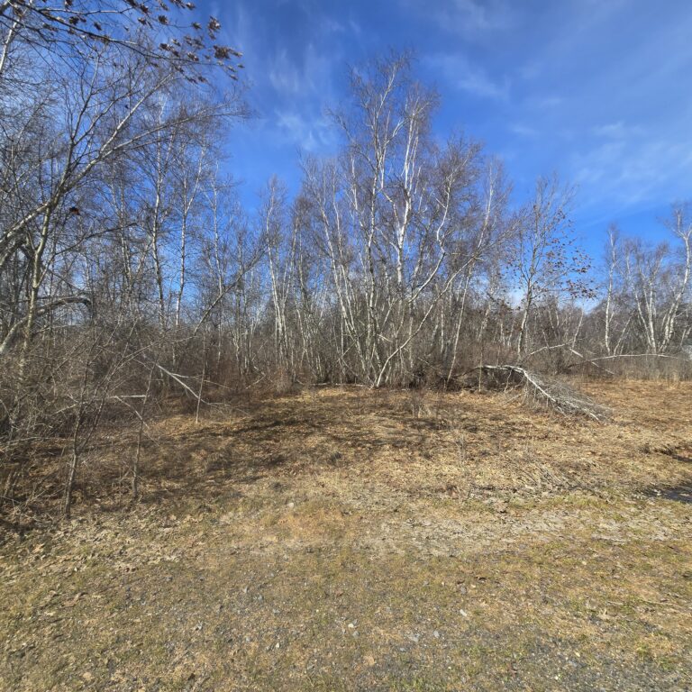 16 acre Building Lot with Power Available Orleans NY