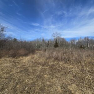 9 acre Building Lot Power Available Orleans NY
