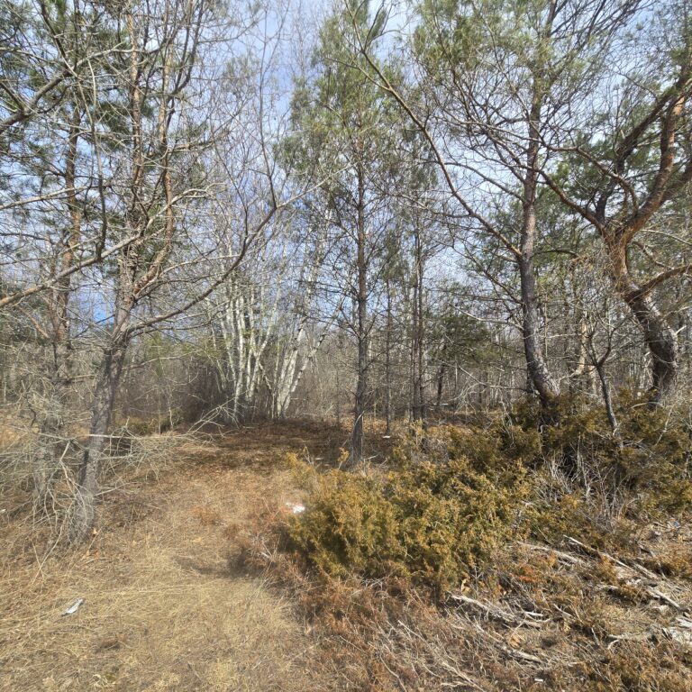 4.5 acre Building Lot Power Available Orleans NY