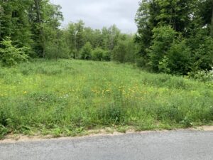 6.7 acres Land Near Salmon River Richland NY