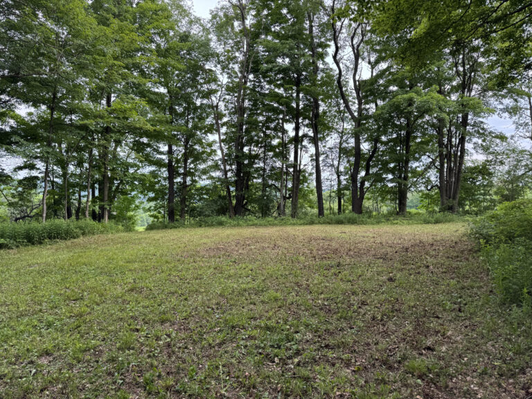 15 acres NY Southern Tier Hunting Land Eaton NY