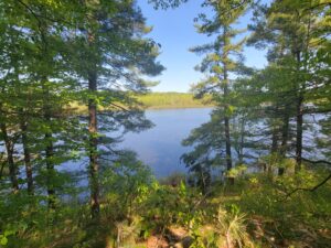 31 acre Remote Forest Land on Osborne Lake, DeKalb, NY!