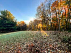 5 acre 4 Season Access Creekfront Lot Pitcairn NY
