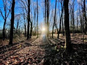 115 acres Hunting and Recreation Land McGraw NY