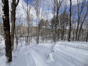 12 acres Private Wooded Hunting Land Russell NY