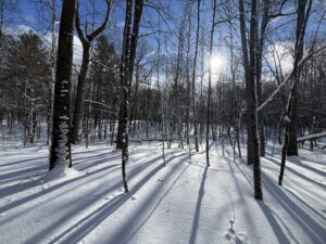 5 acre Remote Wooded Cabin Lot Russell NY